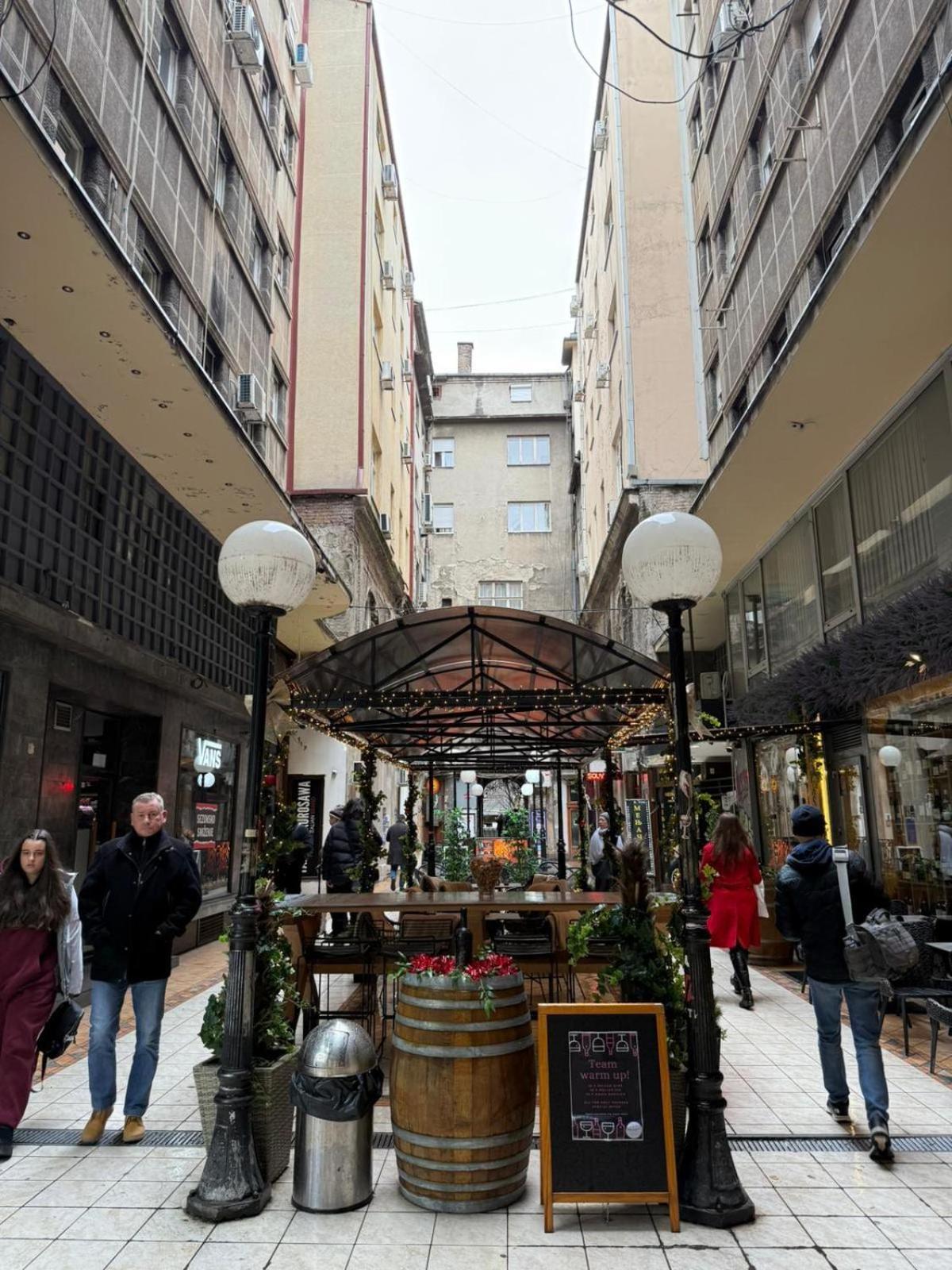 Knez Mihailova Apartment, City Center เบลเกรด ภายนอก รูปภาพ
